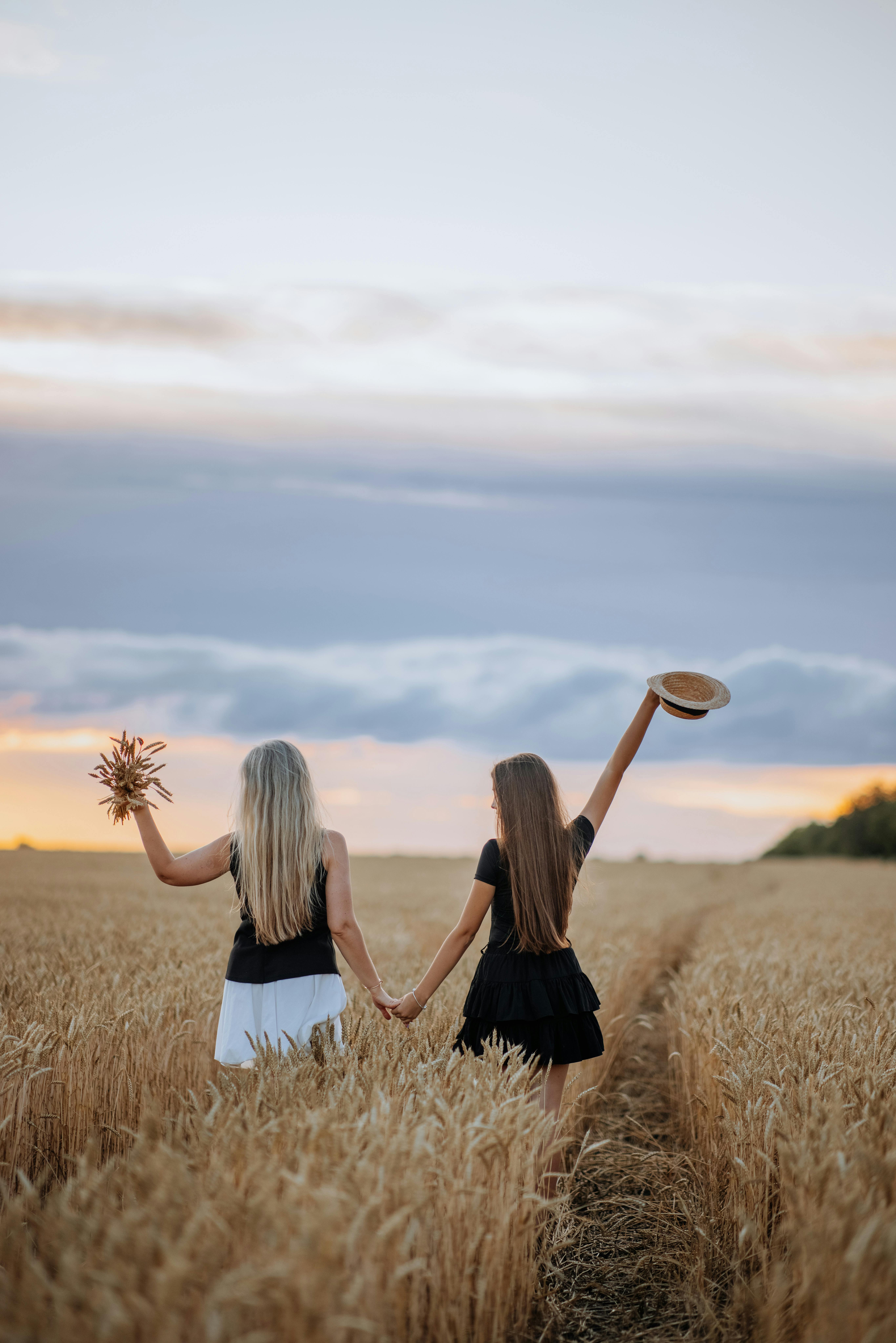 Free Two women holding hands in a wheat field at sunset, enjoying the summer evening. Stock Photo