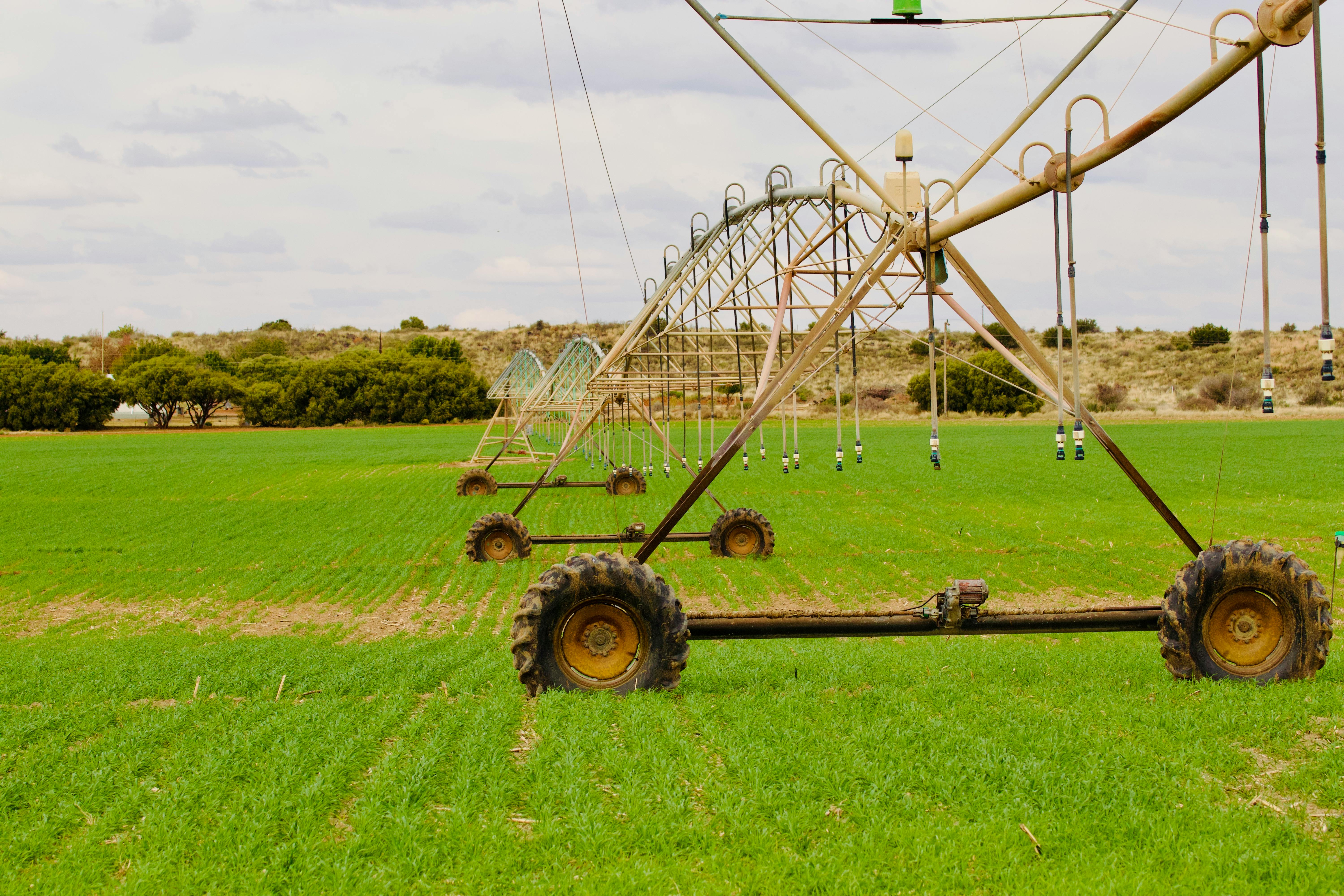 Paraguay: cómo evalúan inversores tierra, agua y logística en agronegocios