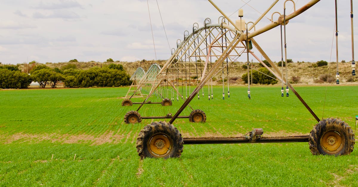 Paraguay: cómo evalúan inversores tierra, agua y logística en agronegocios Paraguay: cómo evalúan inversores tierra, agua y logística en agronegocios