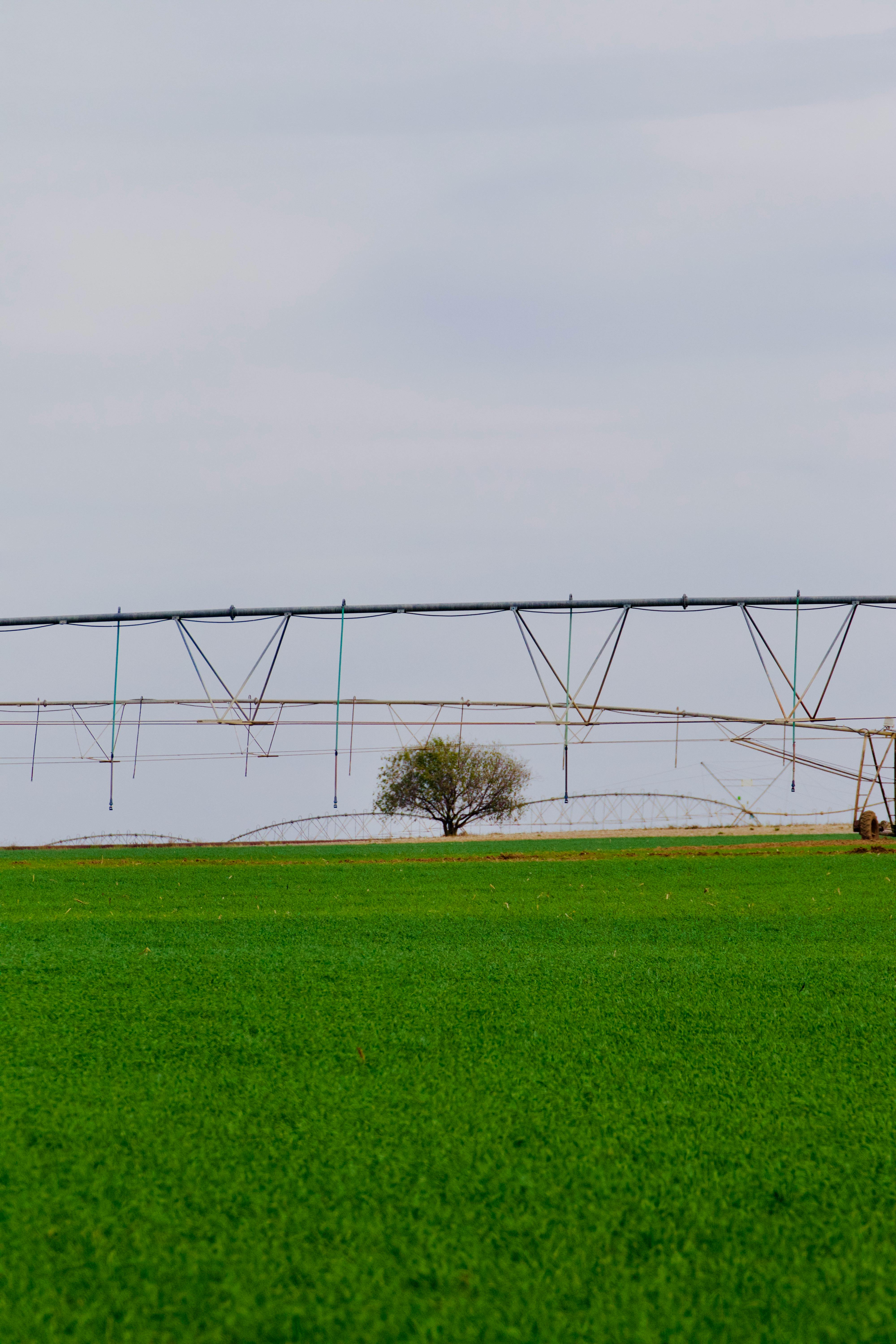 Trading- Understanding Pivot Points