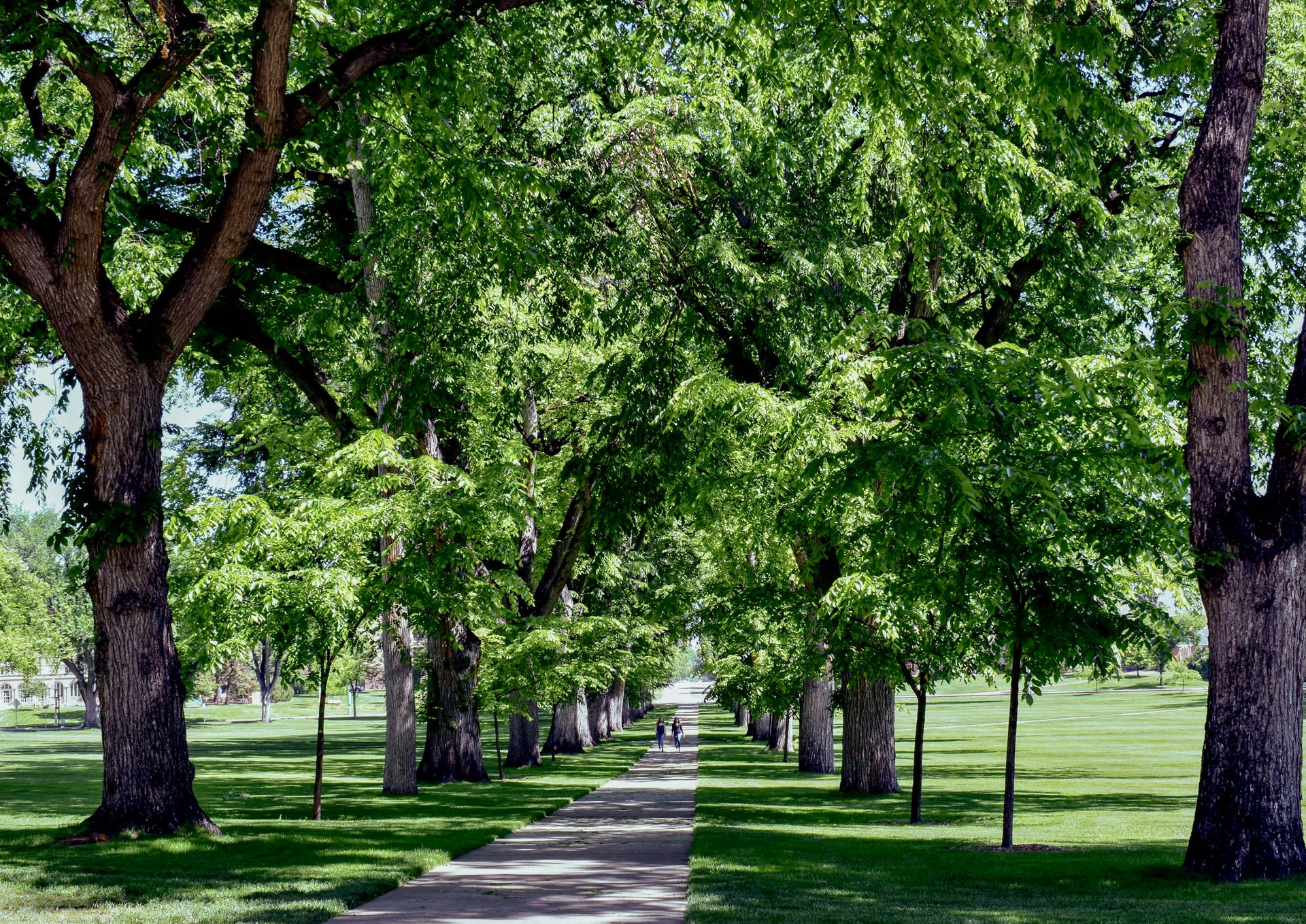 Fort Collins, Fort Collins CO — neighborhood review