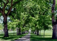 Fort Collins