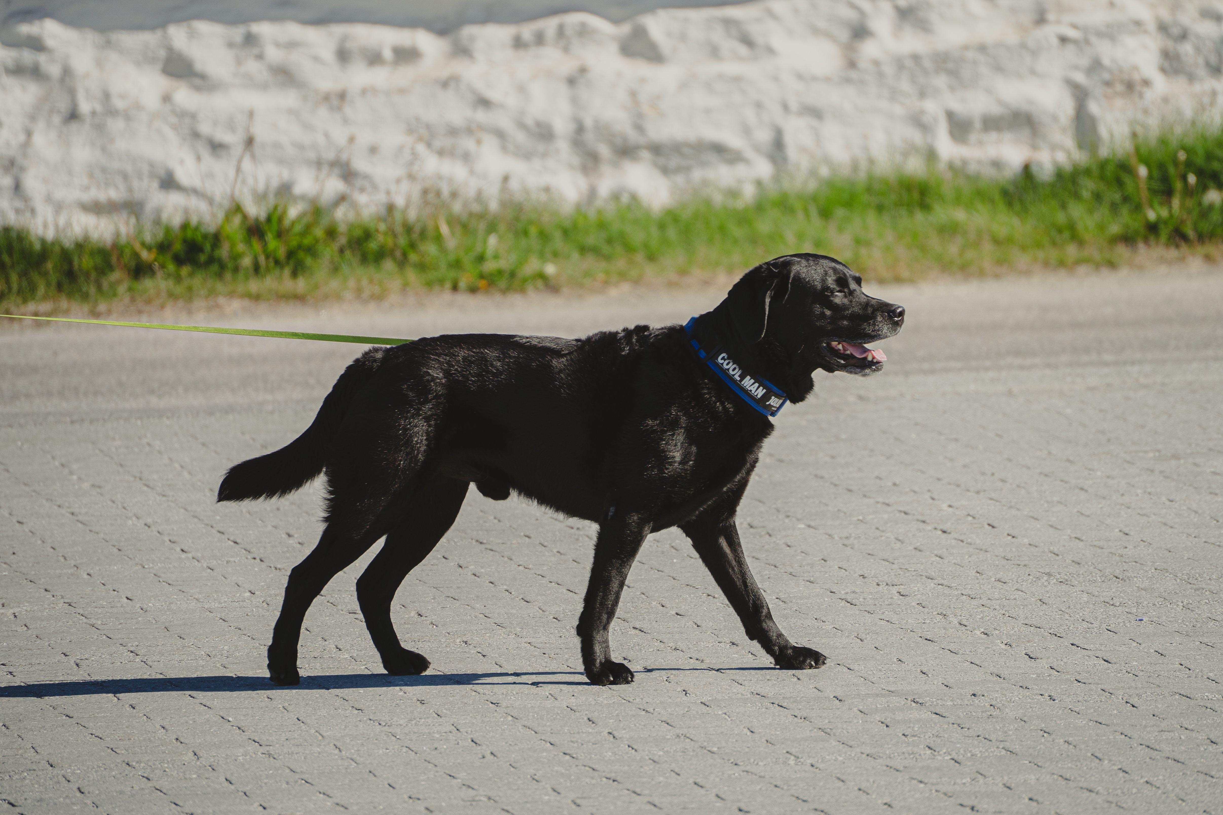 Cooling Collar vs Vest vs Mat: Which Summer Product Cools Be