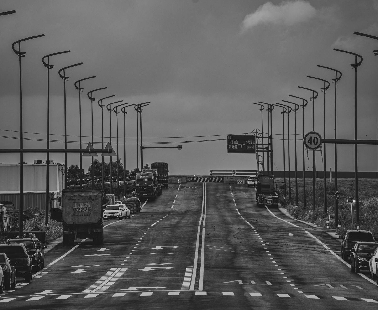 Monochrome image of an urban highway with vehicles and streetlights, creating a moody atmosphere.