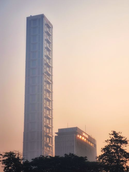 Free Tall modern skyscrapers during a misty sunrise with soft pastel lighting and silhouette trees. Stock Photo