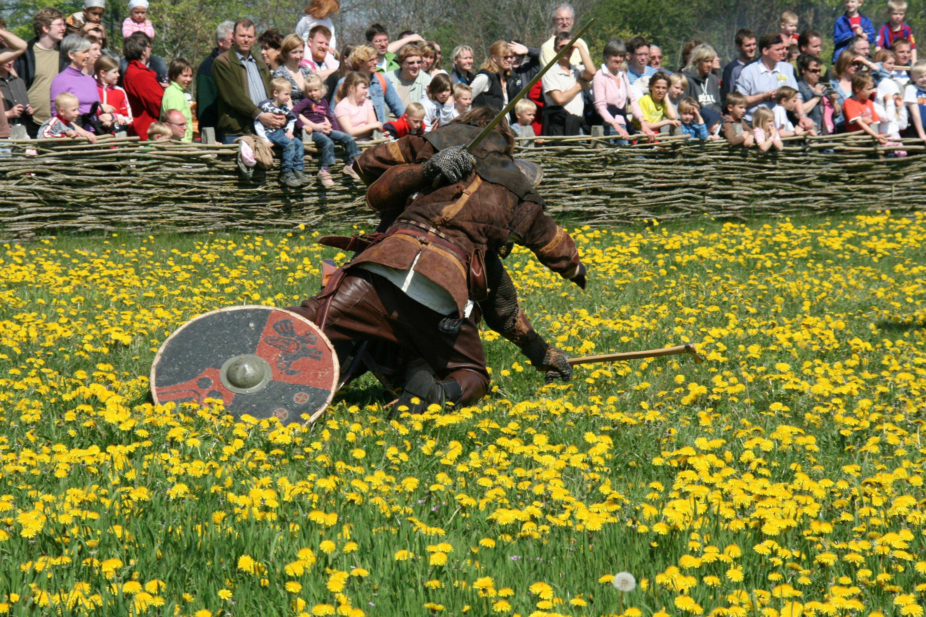 Free stock photo of vikings