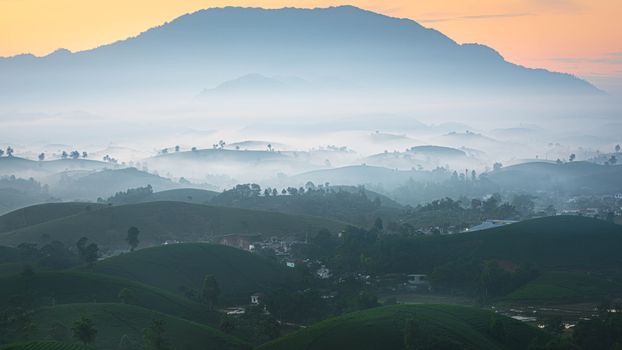 A peaceful misty mountain view with rolling hills and sunrise hues.. peaceful, misty, mountain