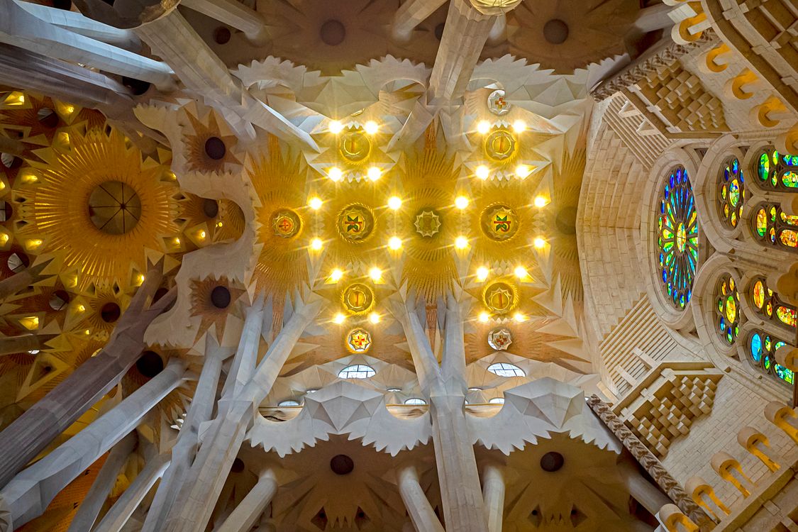 Ceiling of Sagrada Familia · Free Stock Photo