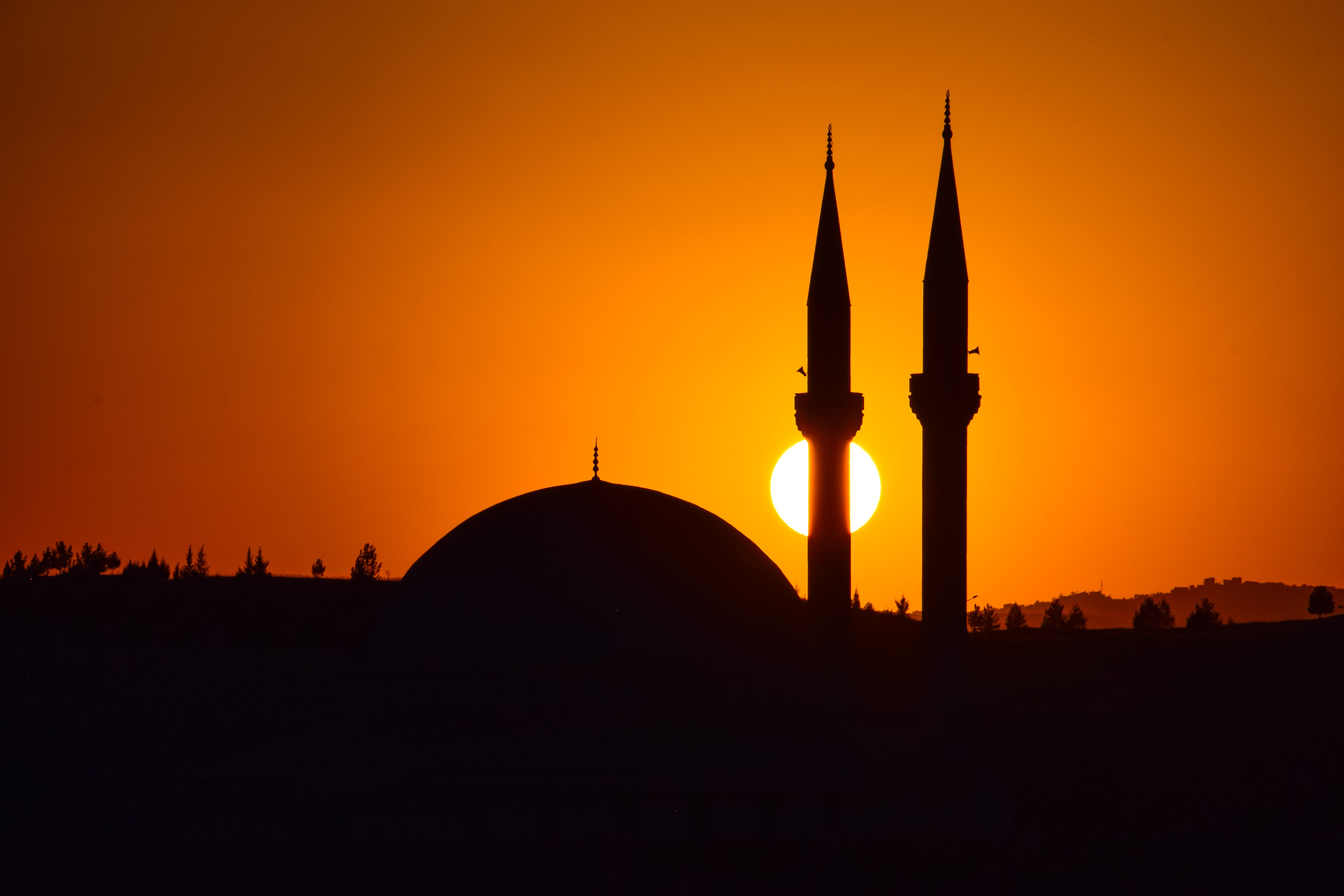 The Turkish Twist: Where East Meets Anime Inspiration
