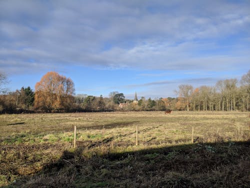 Gratis stockfoto met landschap, natuur, sneeuw