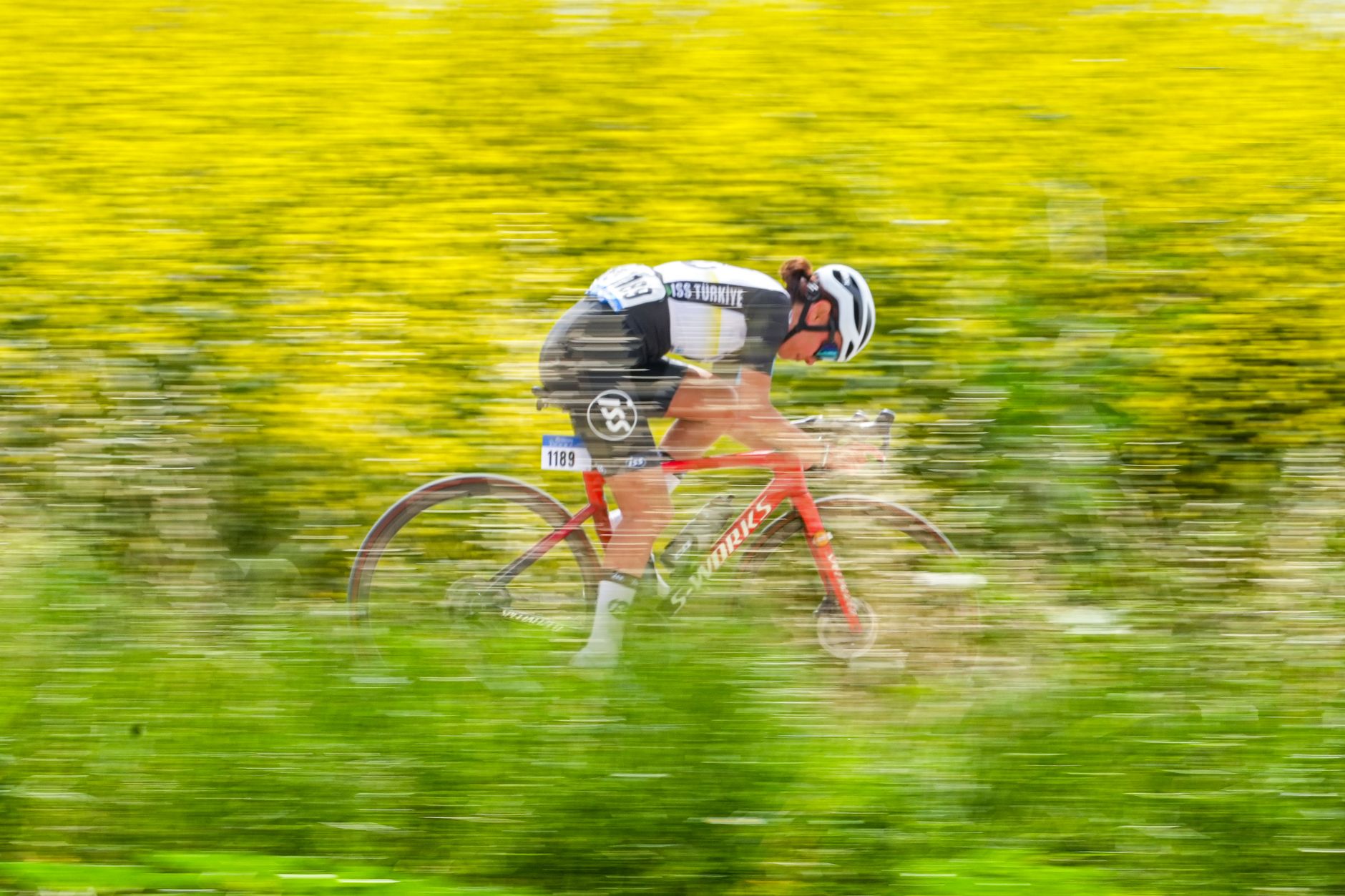 Indy Boonen