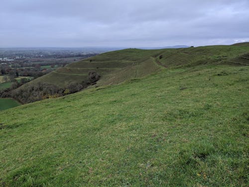 Gratis stockfoto met hambledon hill, heuvel, landschap