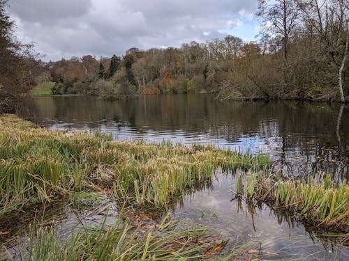 Gratis stockfoto met fonthill, landschap, meer