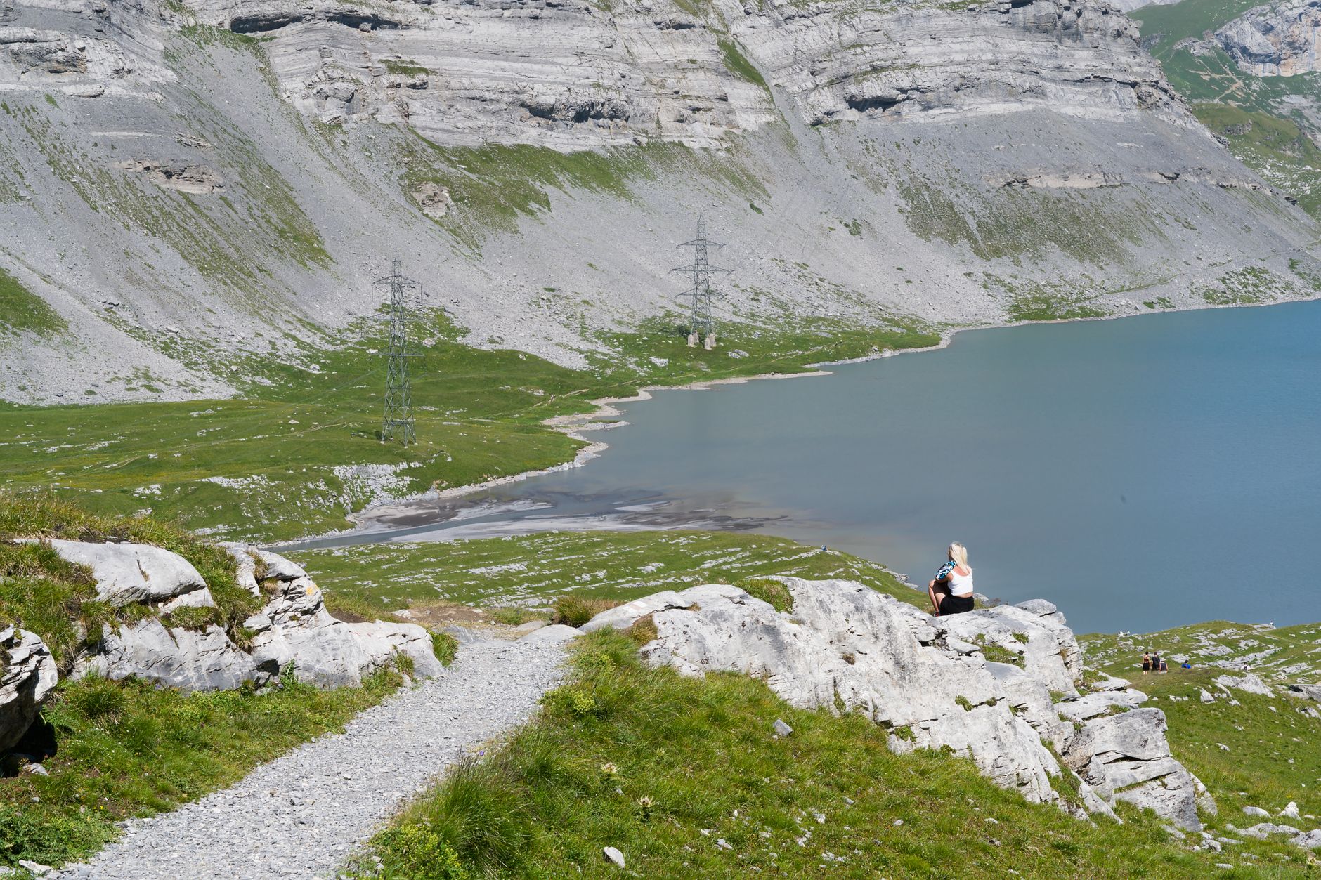 Balade et découverte des alpagas
