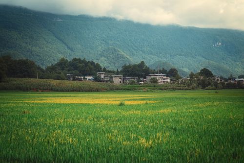 Free Scenic view of a village nestled near lush green fields and mountains. Stock Photo