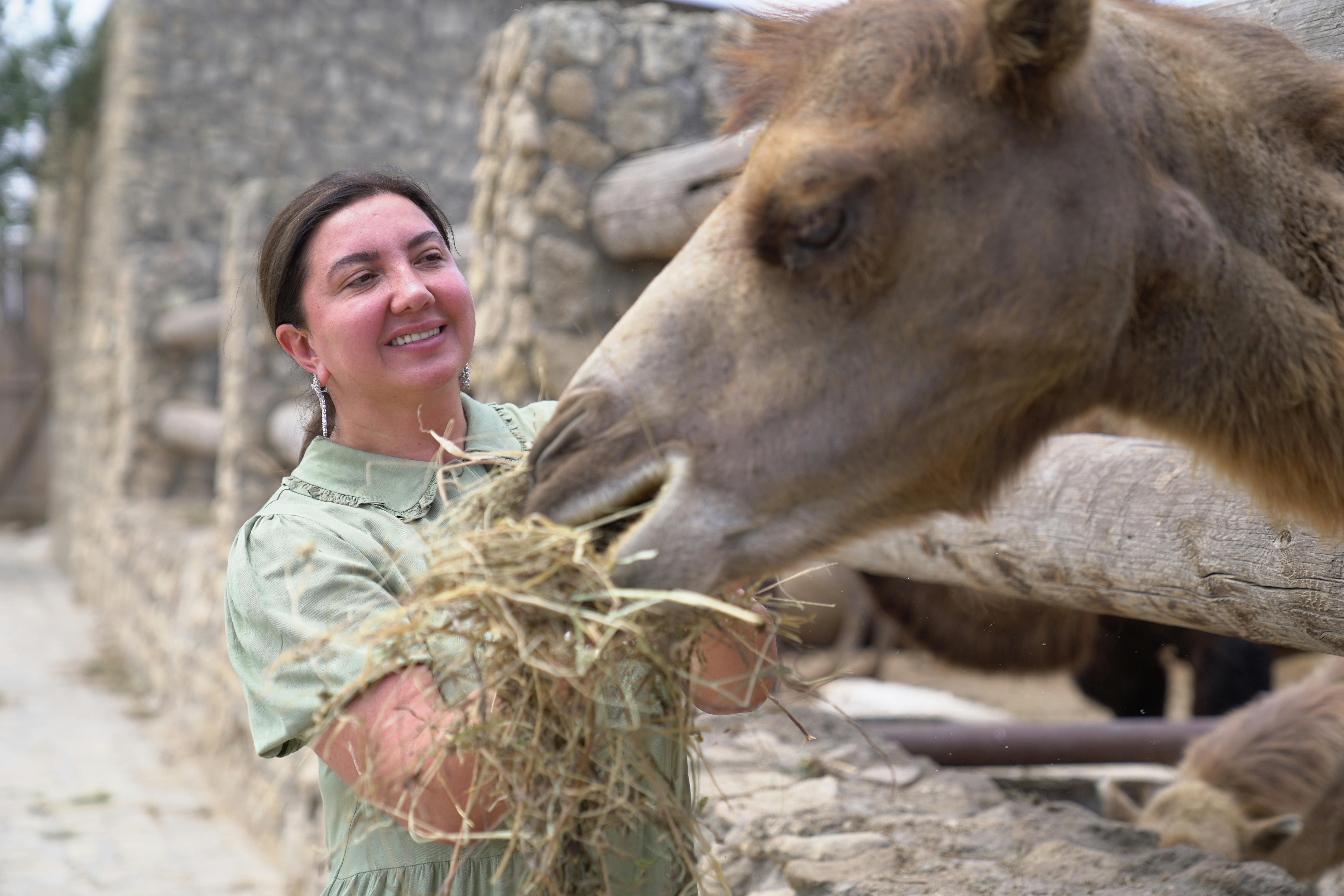 A woman joyfully feeds a camel at a rustic stone farm, showcasing a moment of connection with nature.