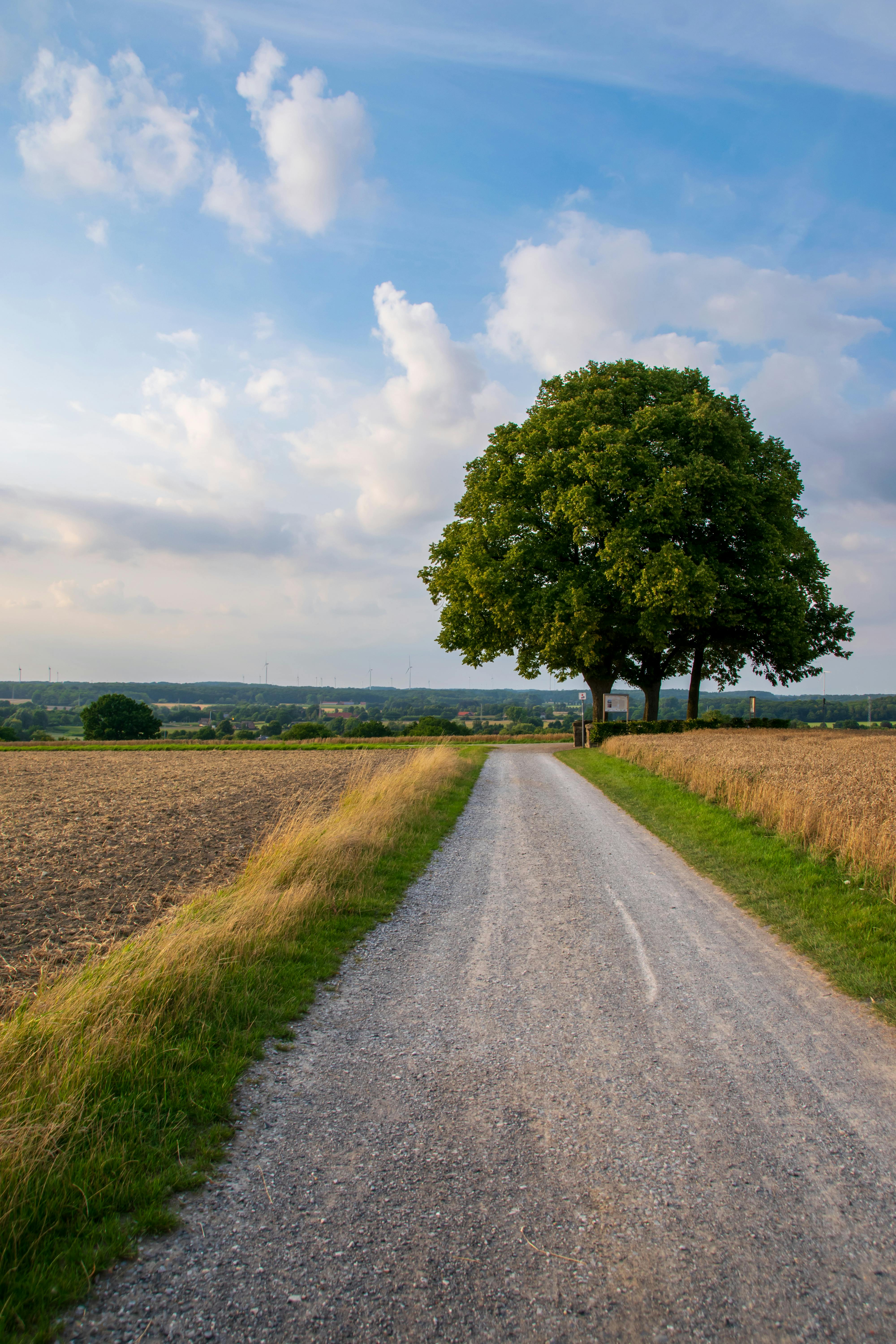 Photo of Road in the Middle of the Grass Field · Free Stock Photo