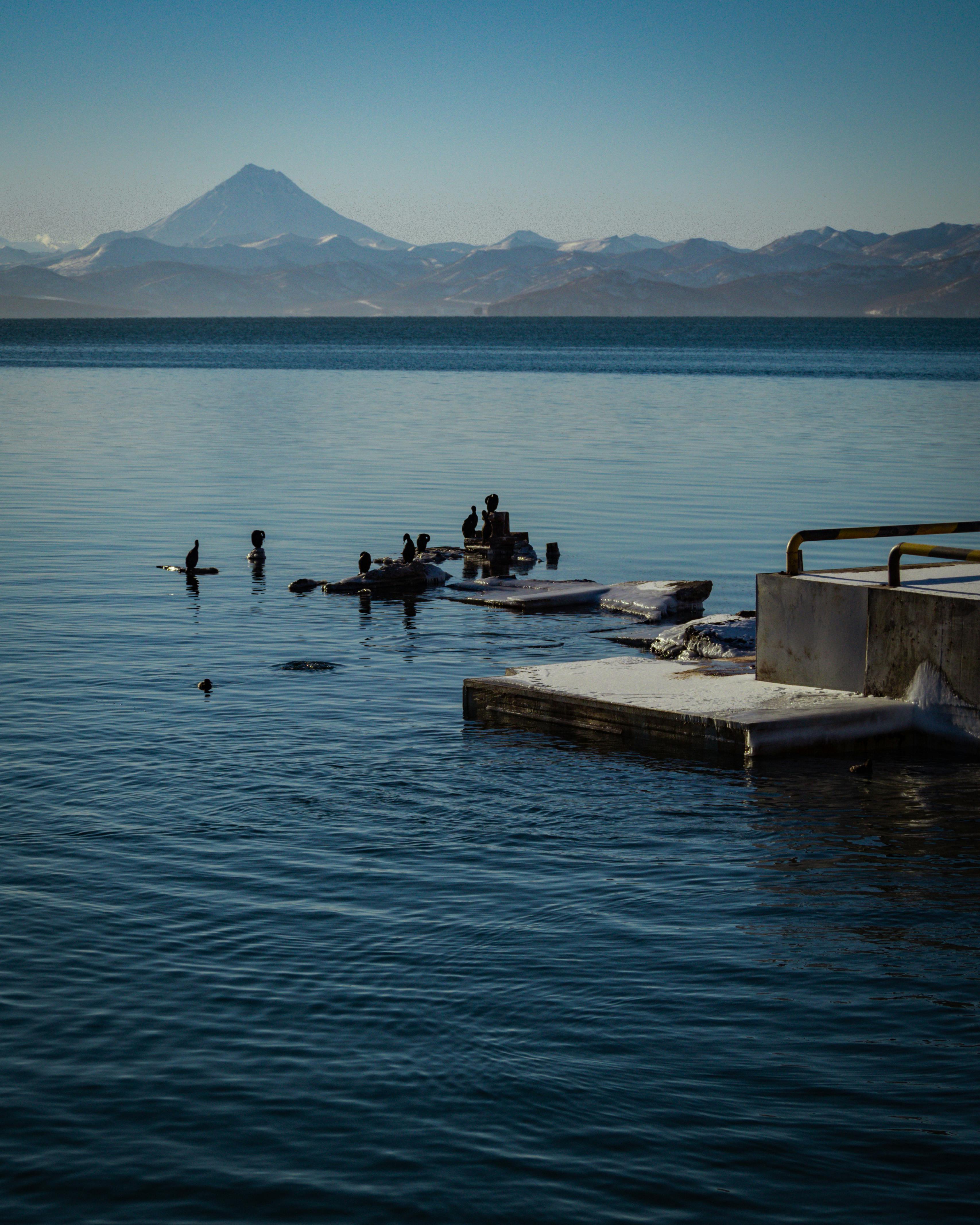 在俄罗斯堪察加边区，有一片宁静的海域，远处是白雪皑皑的火山，近处有一座码头
