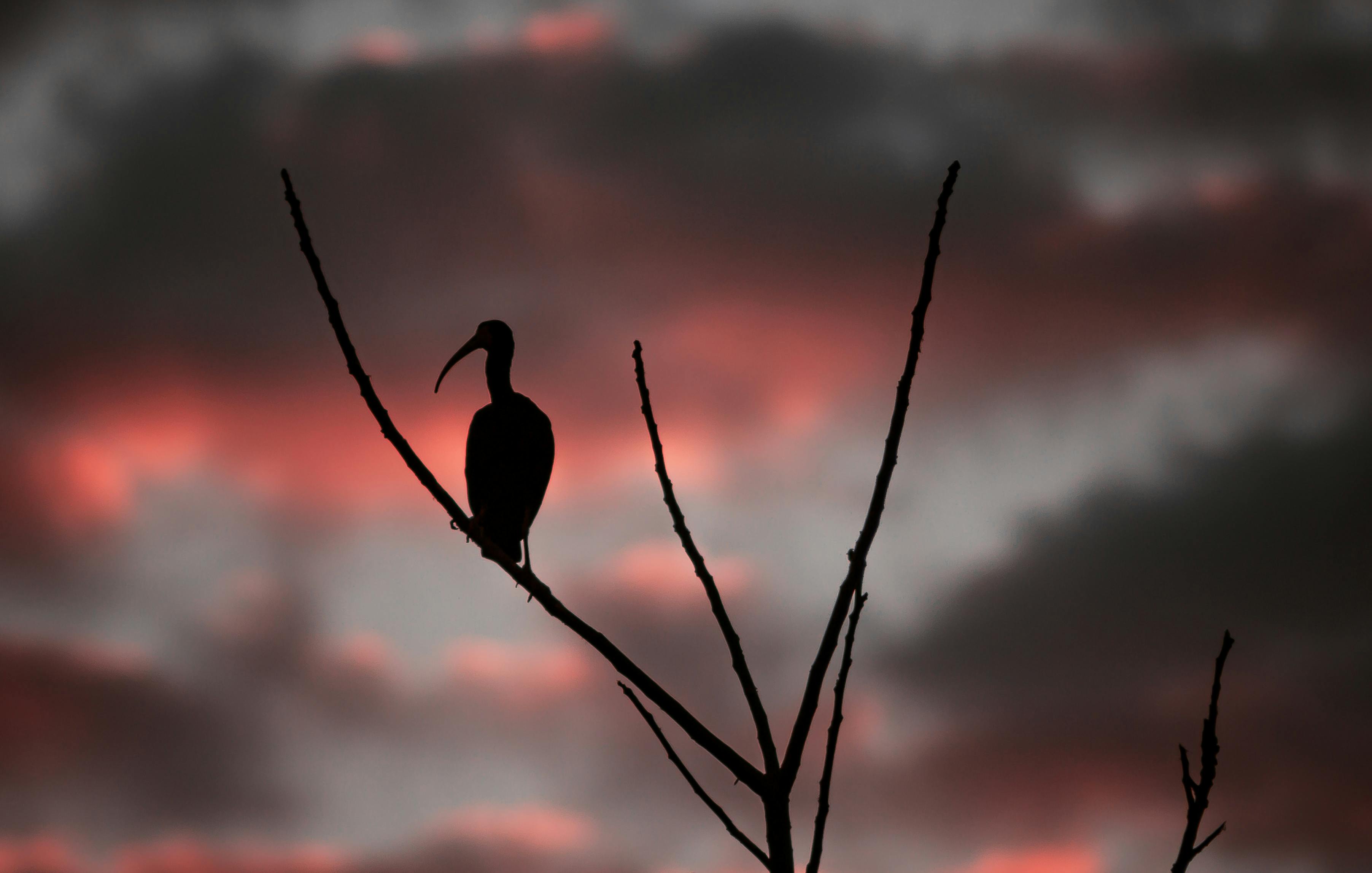 bryce hall baby Breaking News