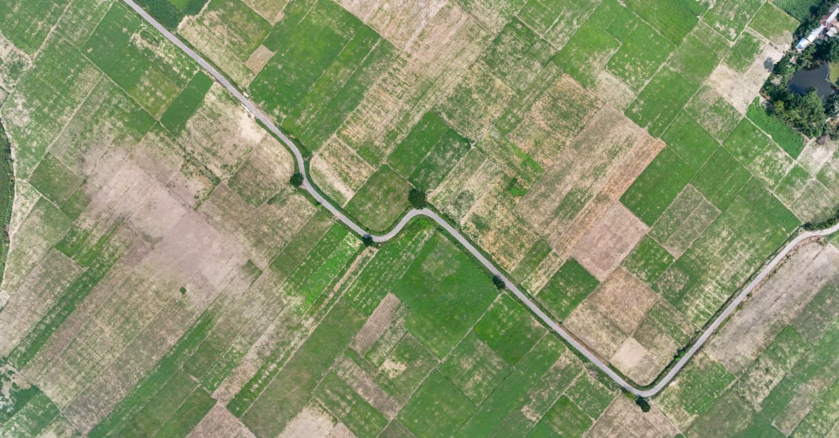 Quel LTE pour votre business : Catégorie M ou NB-IoT ?