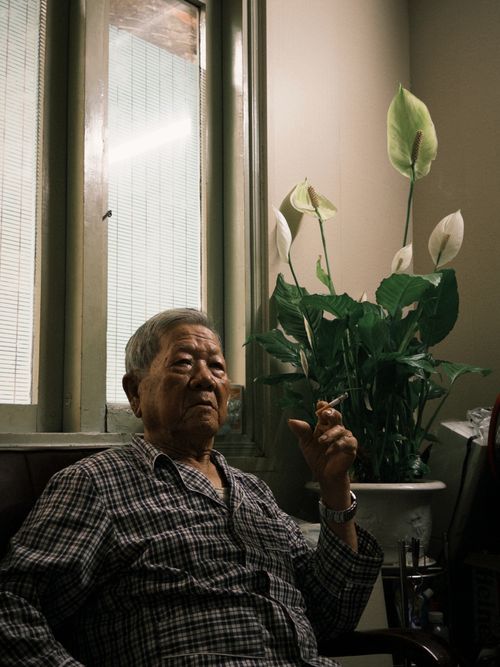 Free Elderly man sitting by a window with peace lily in background. Warm, indoor ambiance. Stock Photo