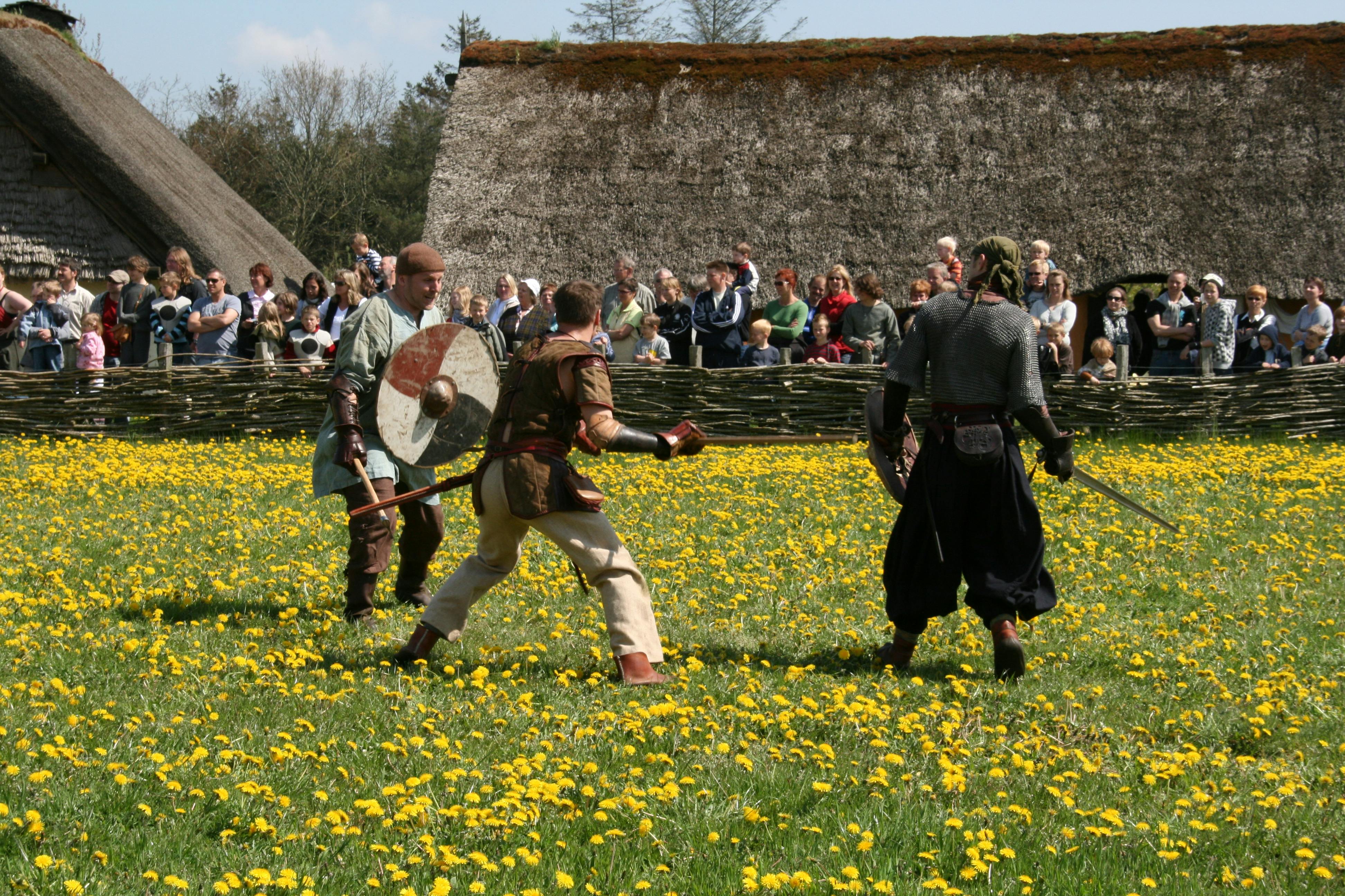 Free stock photo of vikings