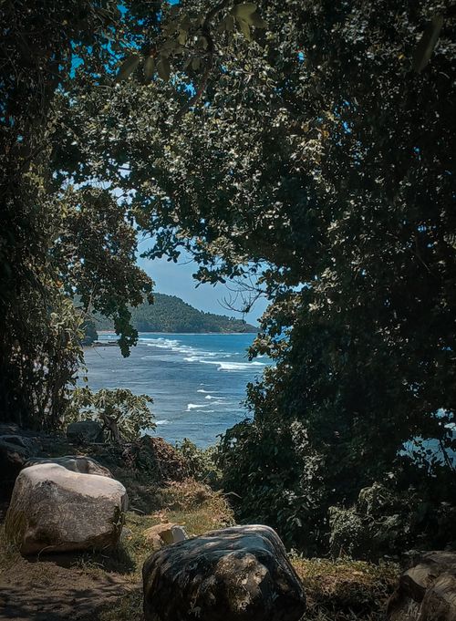 Free A tranquil beach view through lush trees, capturing the essence of the Philippines' natural beauty. Stock Photo