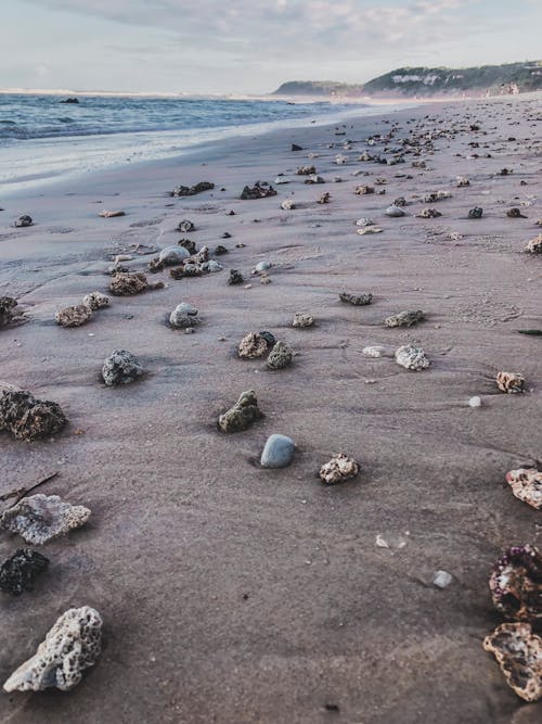 Free stock photo of bahia, beach, rocks