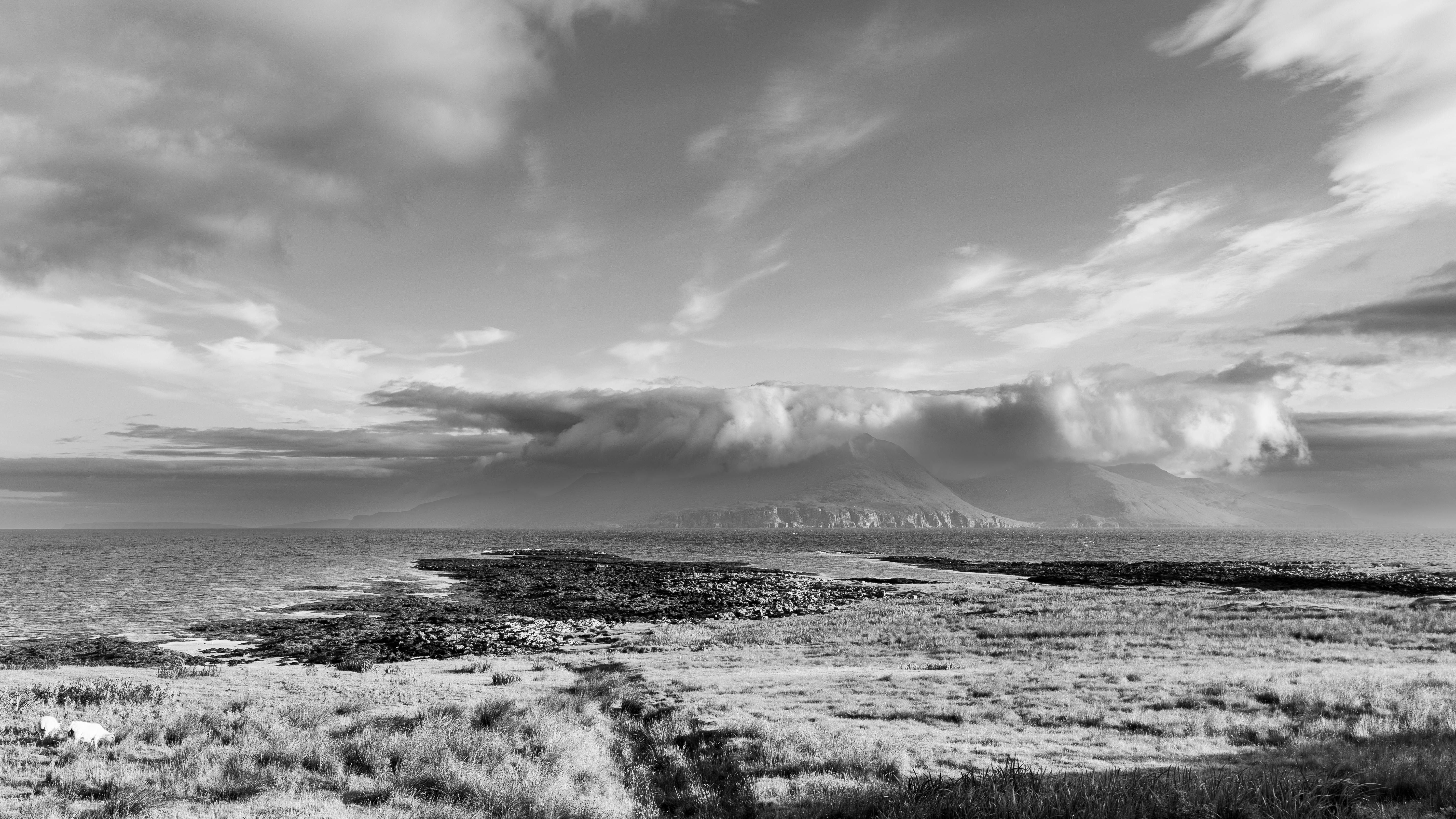 Pokémon Pokopia: Best Cloud Islands &amp; Developer Island Codes — Photo by Phil Evenden on Pexels
