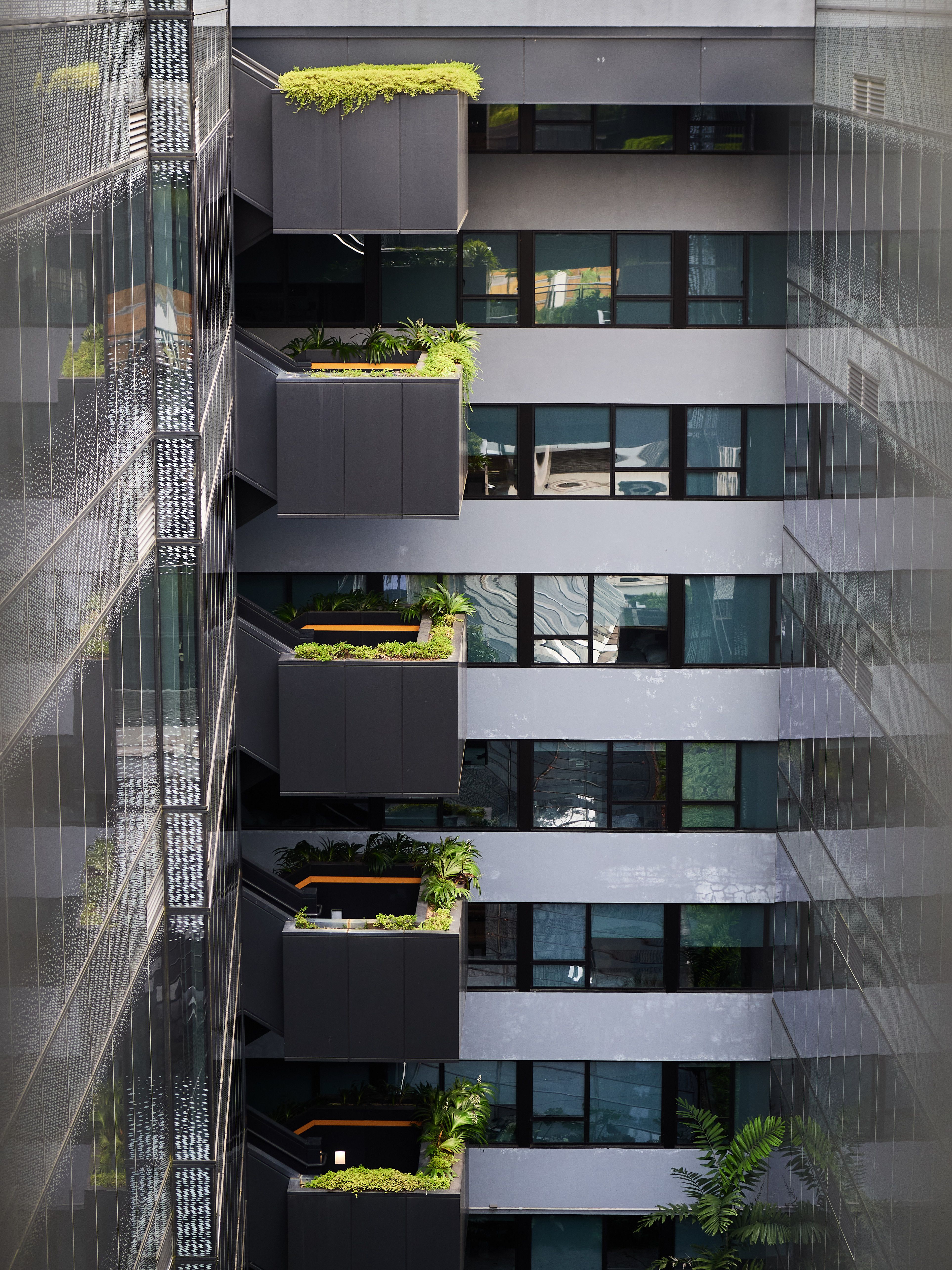 View of urban building balconies adorned with lush green plants. - How I Turned My Tiny Apartment Balcony into a Green Oasis