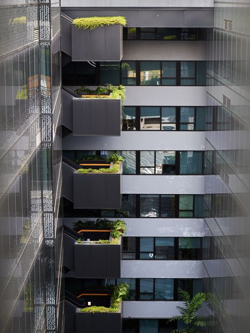 View of urban building balconies adorned with lush green plants. - How I Turned My Tiny Apartment Balcony into a Green Oasis