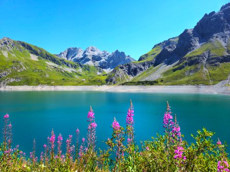 Breathtaking view of Lunersee with colorful wildflowers and mountain backdrop in Vorarlberg, Austria.