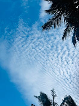 Blue Sky ☀️