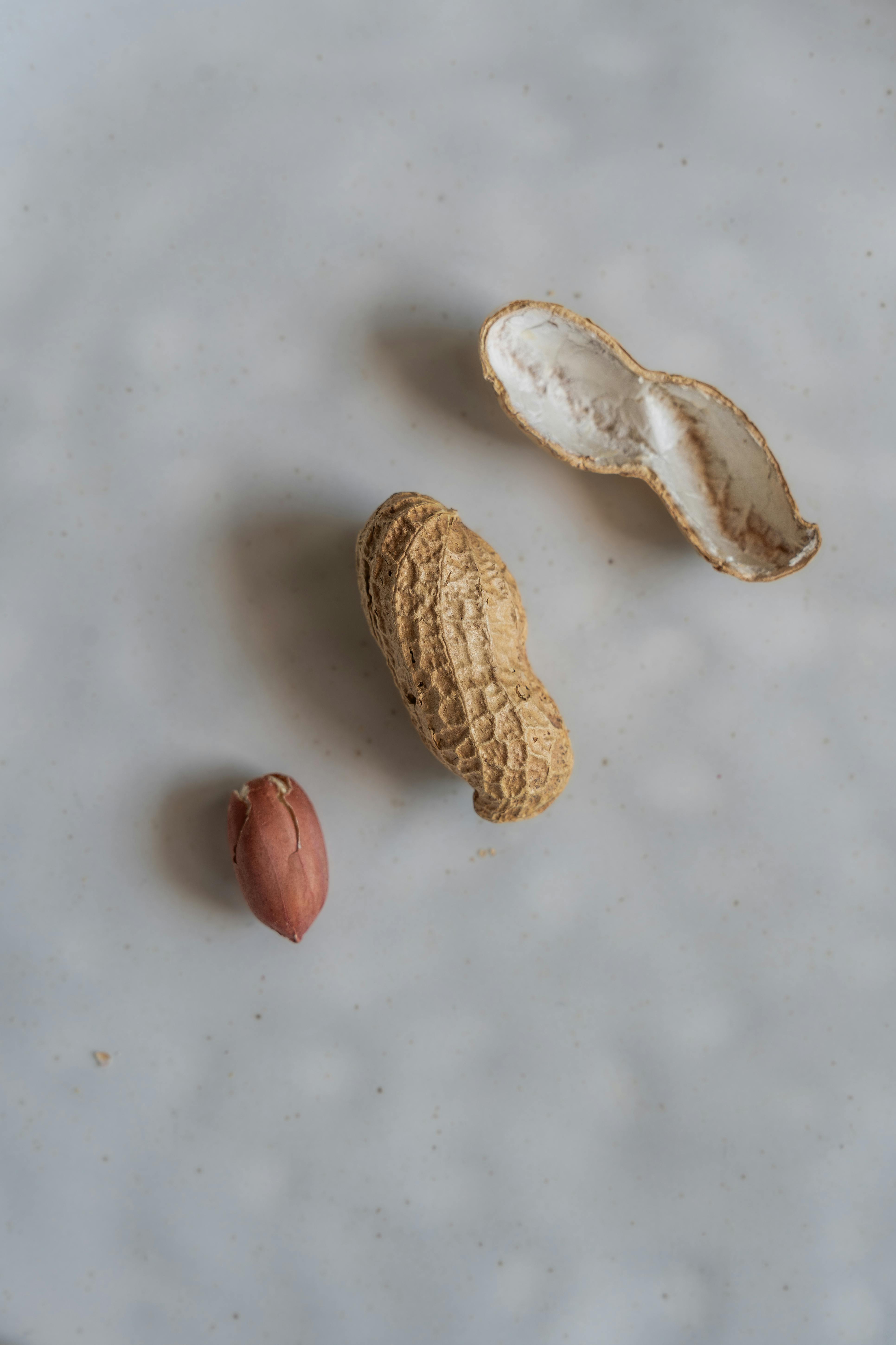 단백질 섭취를 위한 팁