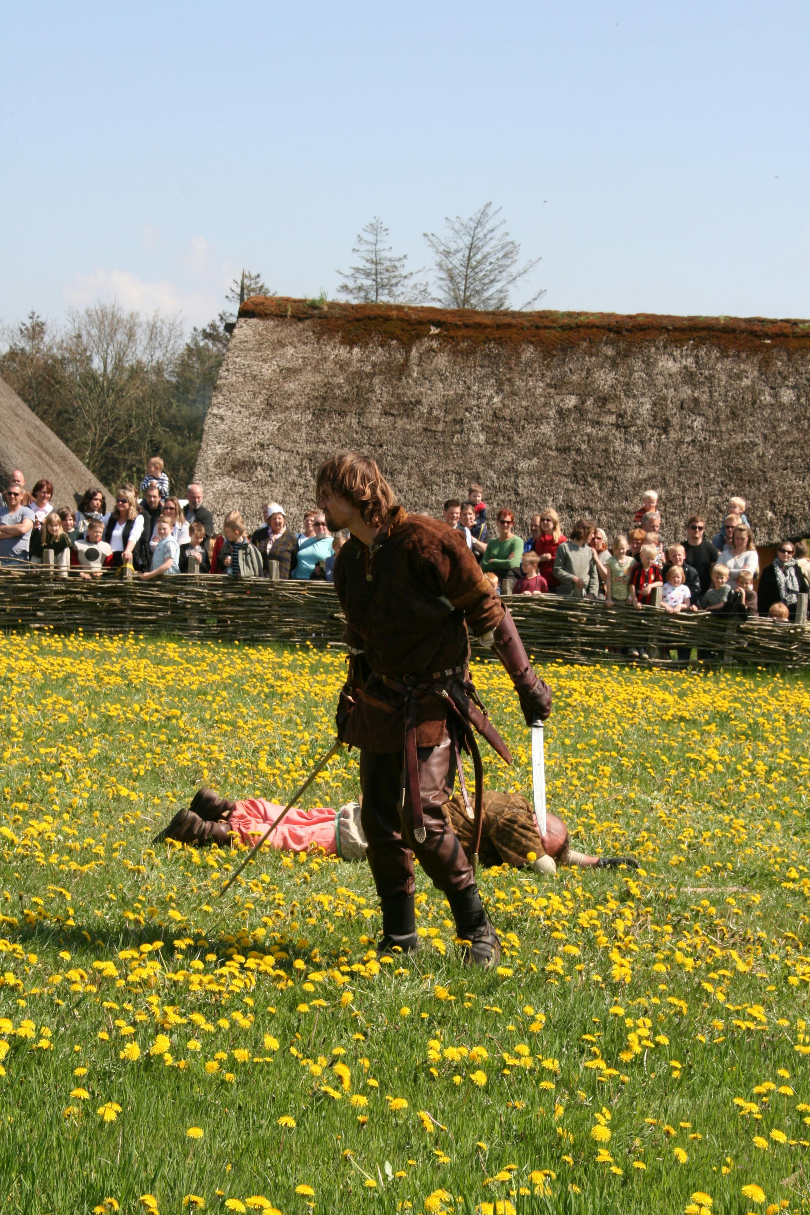 free-stock-photo-of-vikings