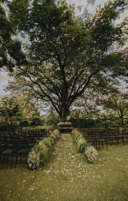 Free Charming outdoor wedding ceremony setup under a large tree with aisle seating and floral decorations. Stock Photo