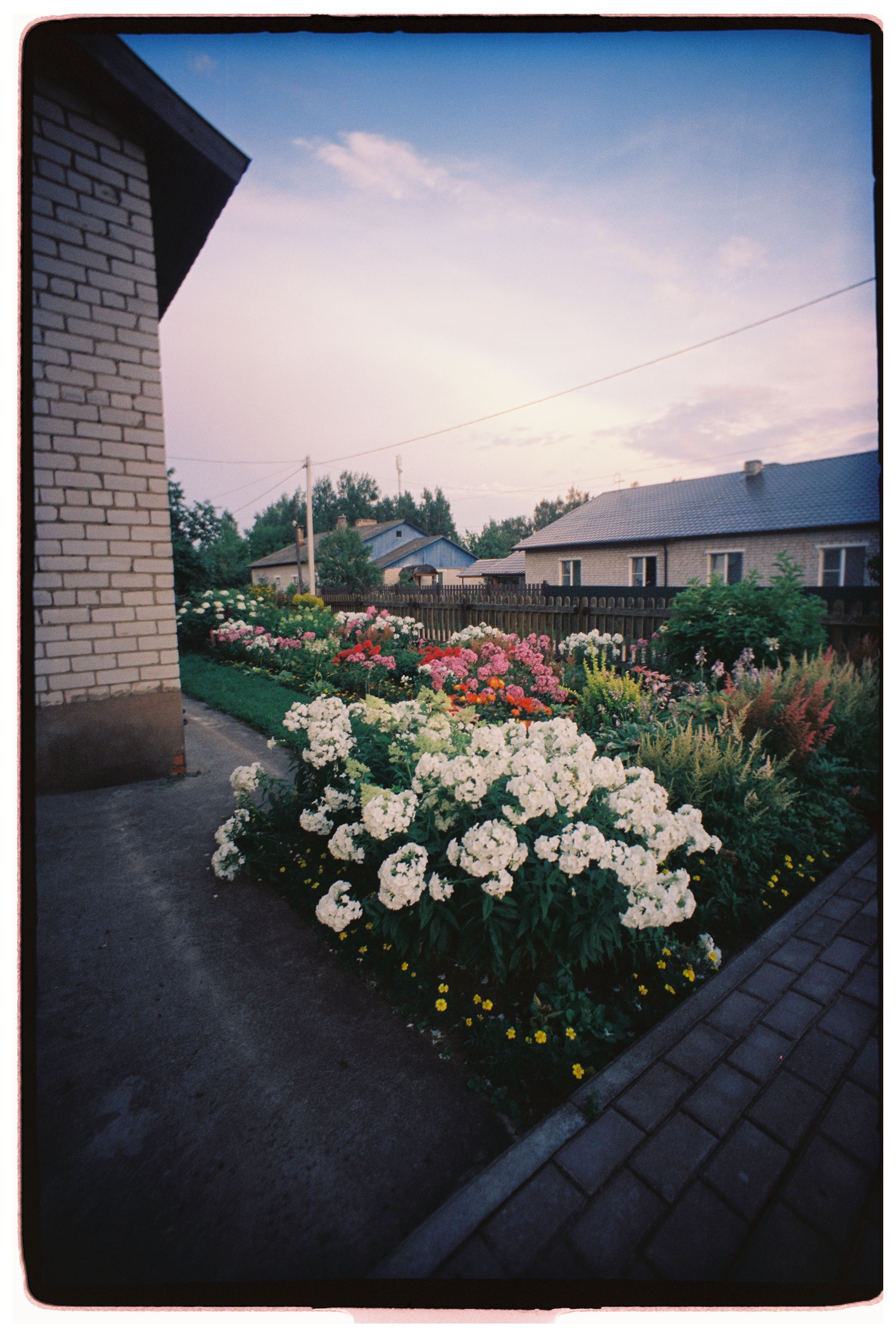 A lush garden filled with colorful summer flowers next to a brick house under a clear sky.