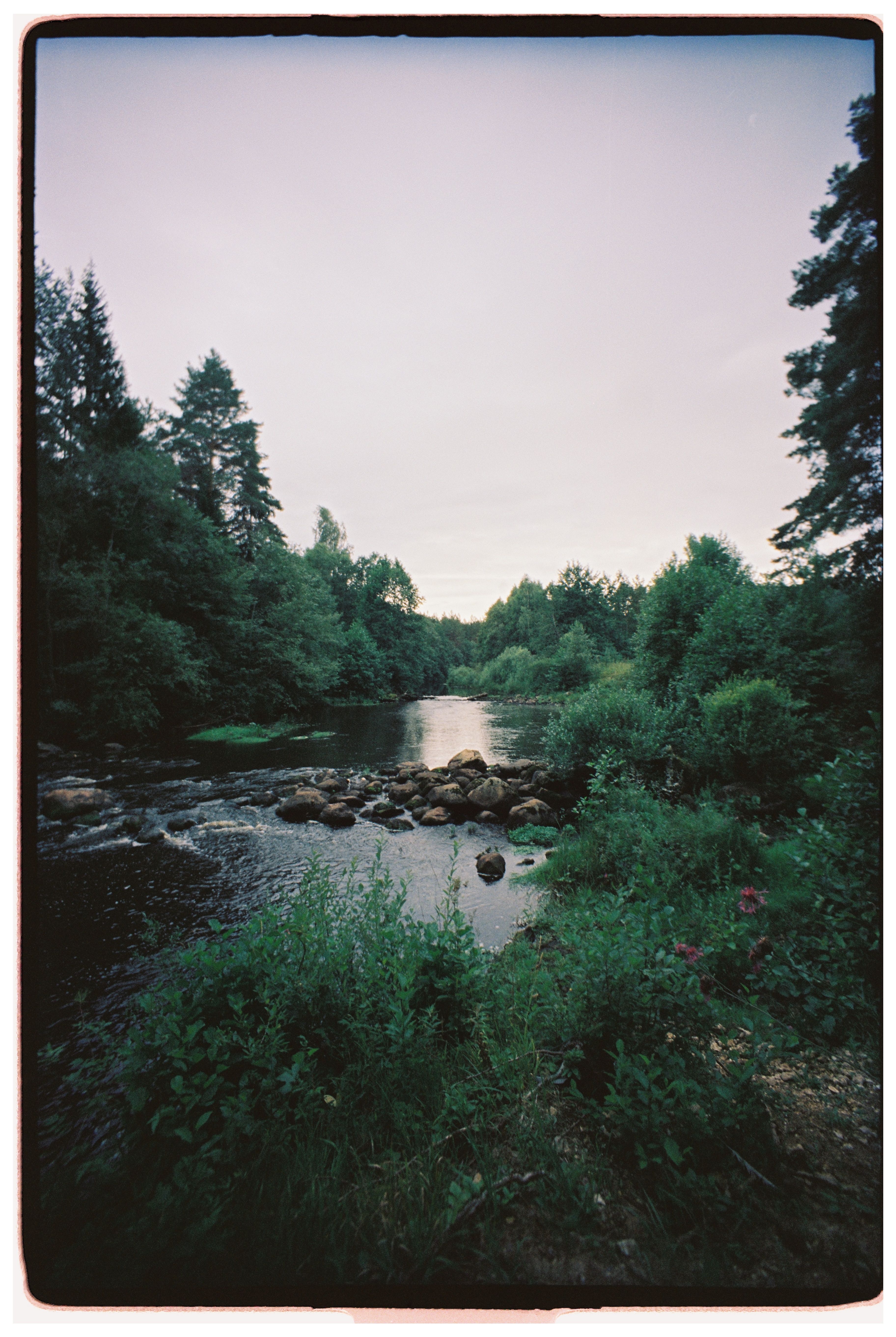 Kostenlos Eine ruhige Waldflussszene mit üppigem Grün und sanftem Wasser unter einem Abendhimmel. Stock-Foto