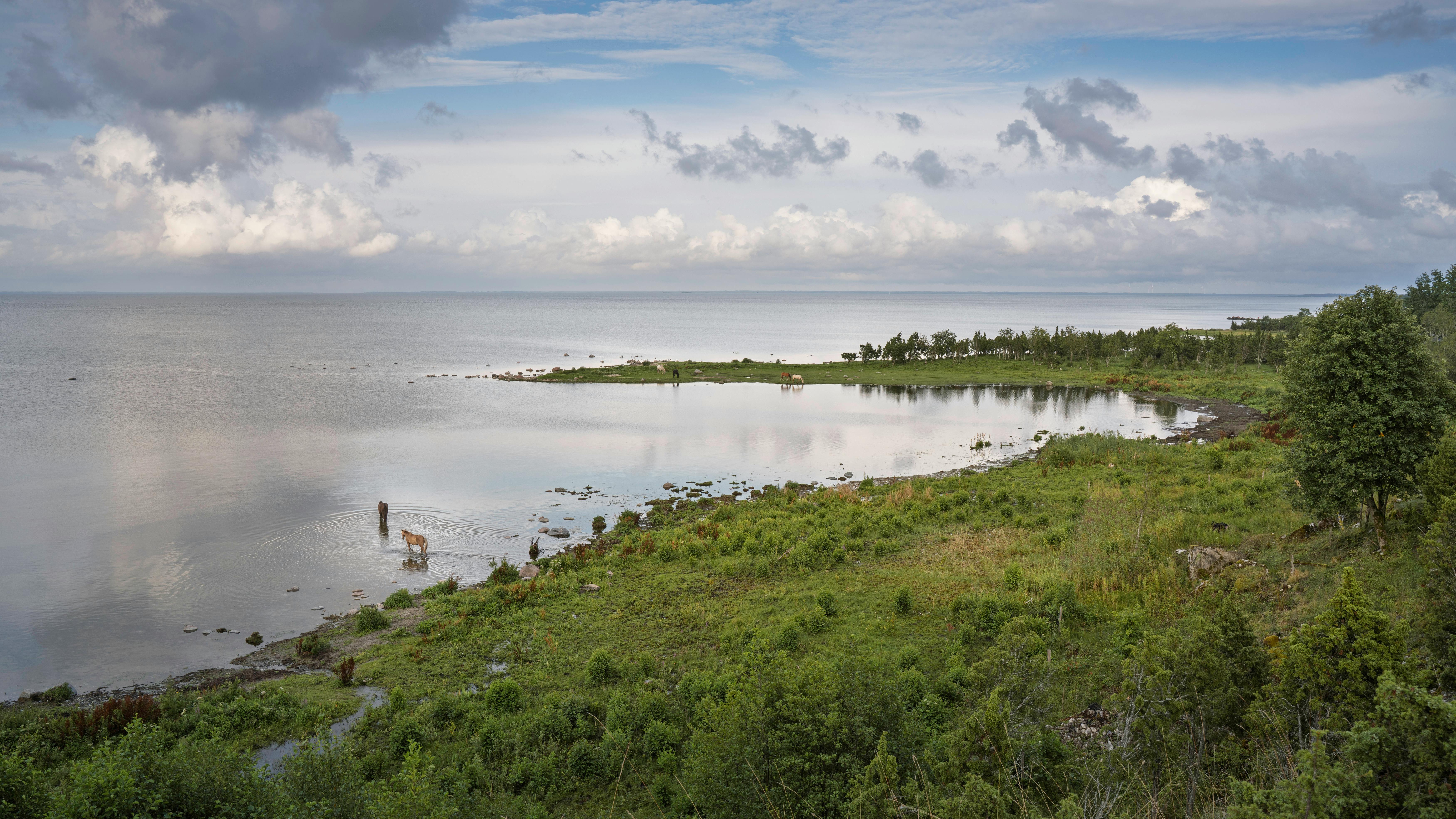 Responsible Tourism Initiatives: Innovative Projects for Sustainable Practices