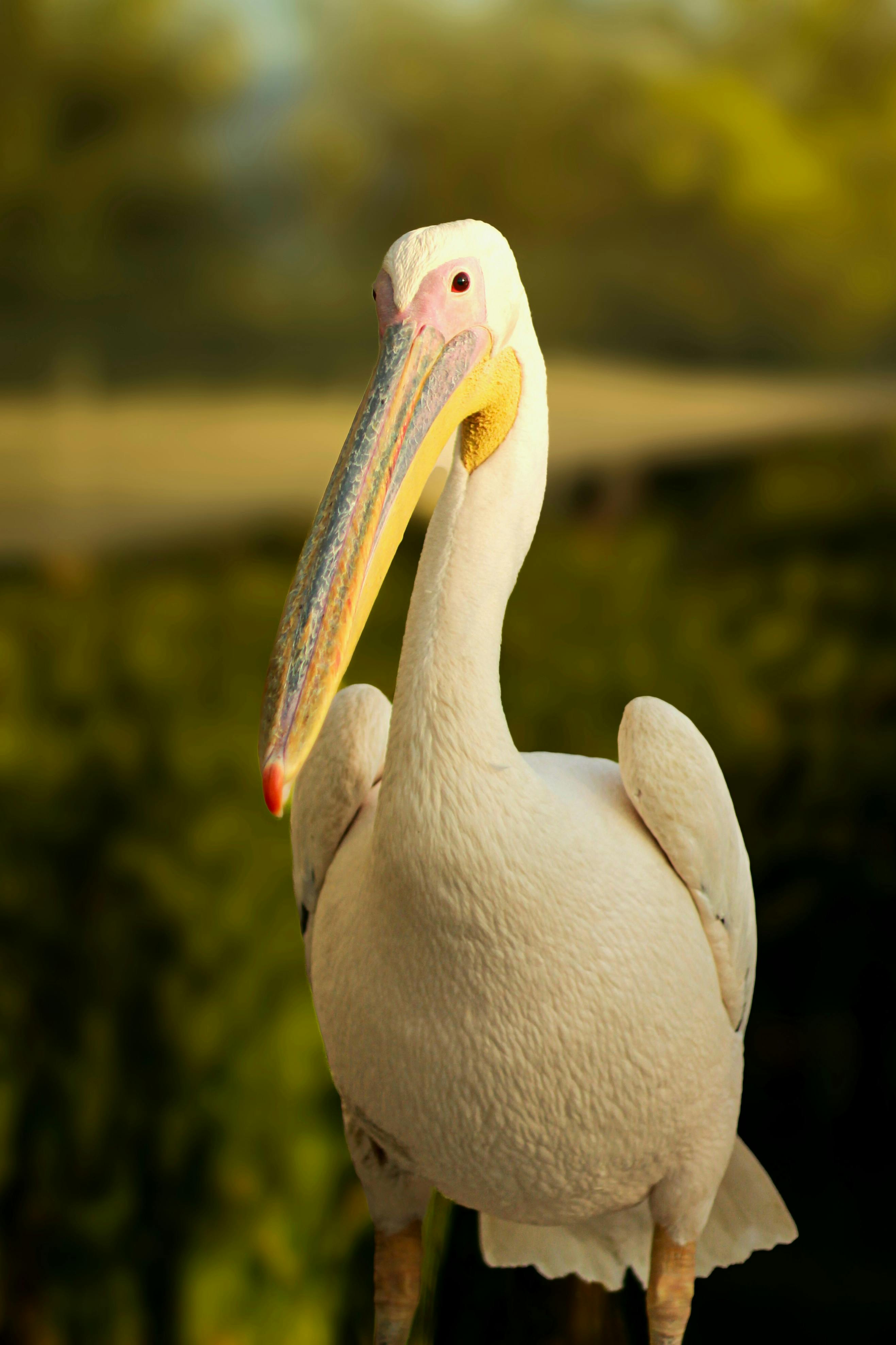 알리 무료반품 거절