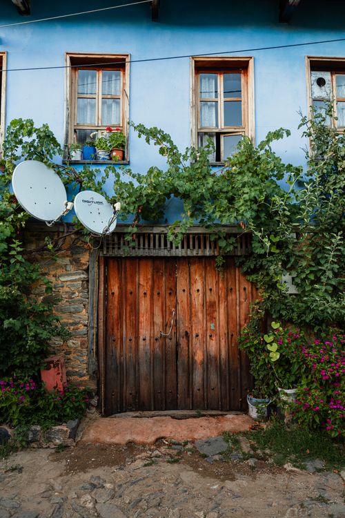 Free A charming rustic wooden door surrounded by ivy on a traditional blue house facade. Stock Photo
