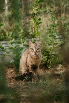 Alert Tabby Cat in Garden Surrounded by Greenery