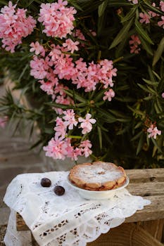 Cherry tart placed on lace cloth near blooming pink oleander flowers.