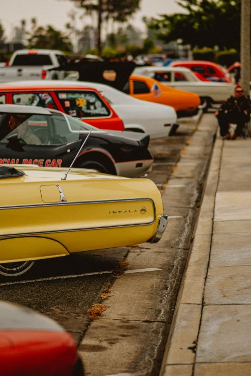Free Vintage cars parked outdoors at a car meet, showcasing retro designs and vibrant colors. Stock Photo