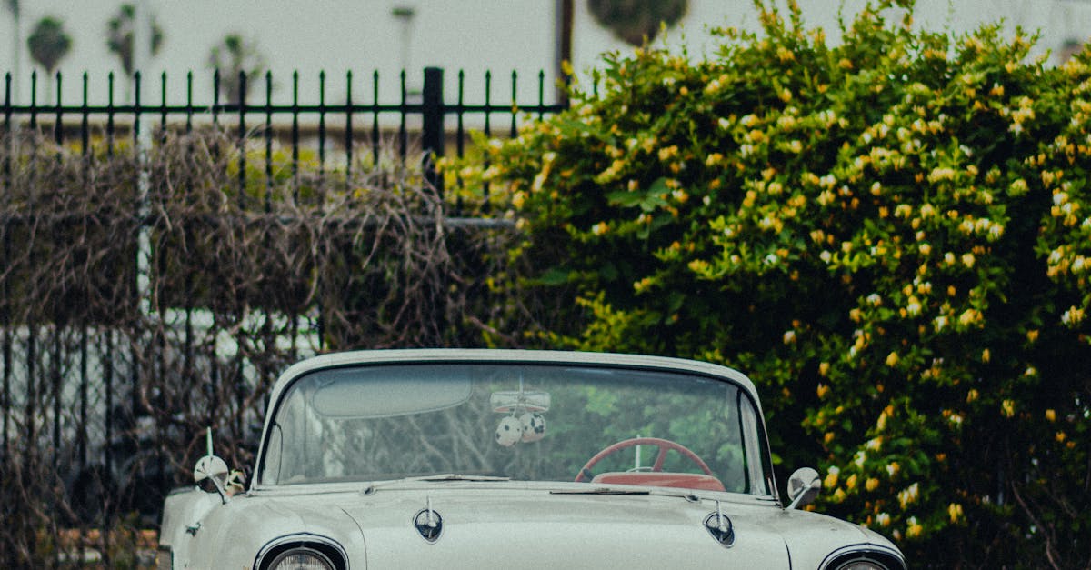 Profesyonel Araç Stüdyo Fotoğrafları