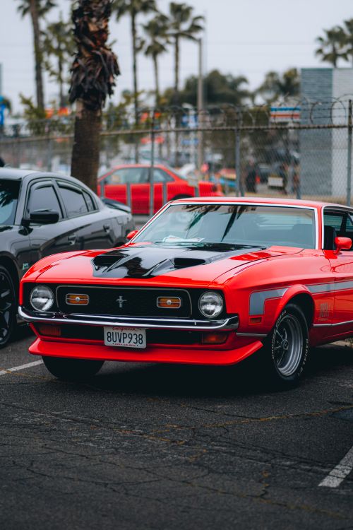 Free Classic red Mustang parked outdoors, embodying American muscle car heritage. Stock Photo