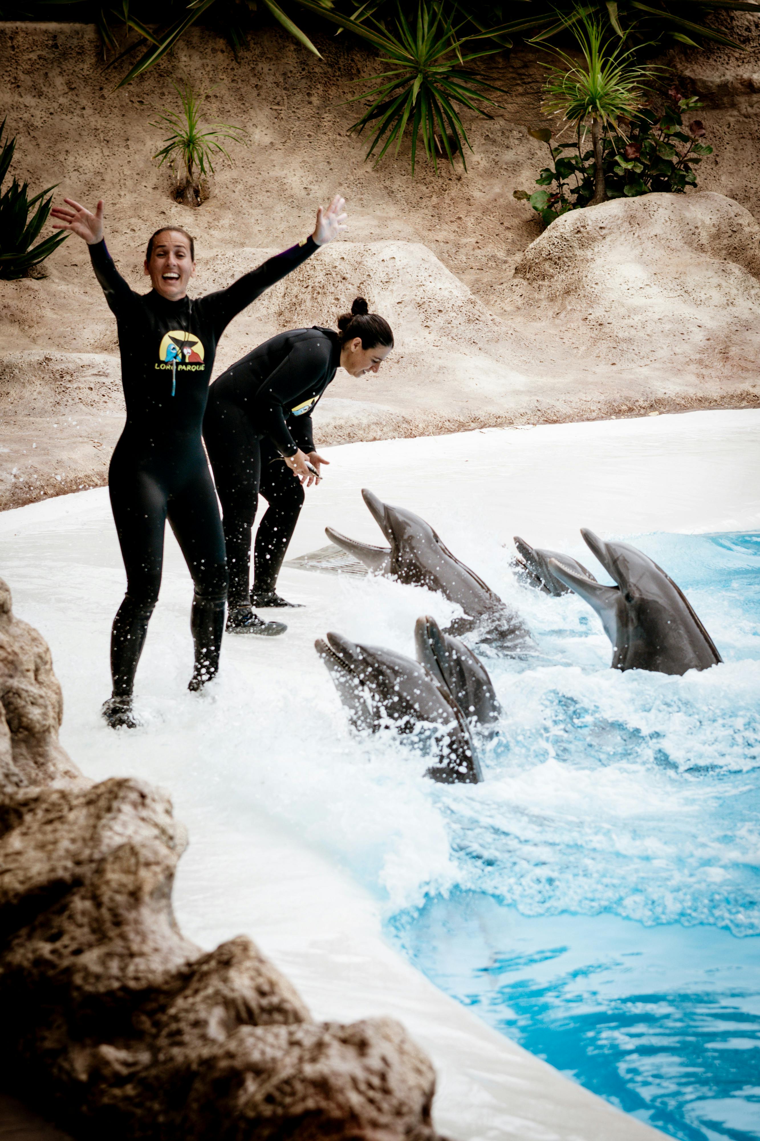 <b>Daya Tarik Grebeg Sudiro: Apa Saja yang Bikin Heboh?</b>