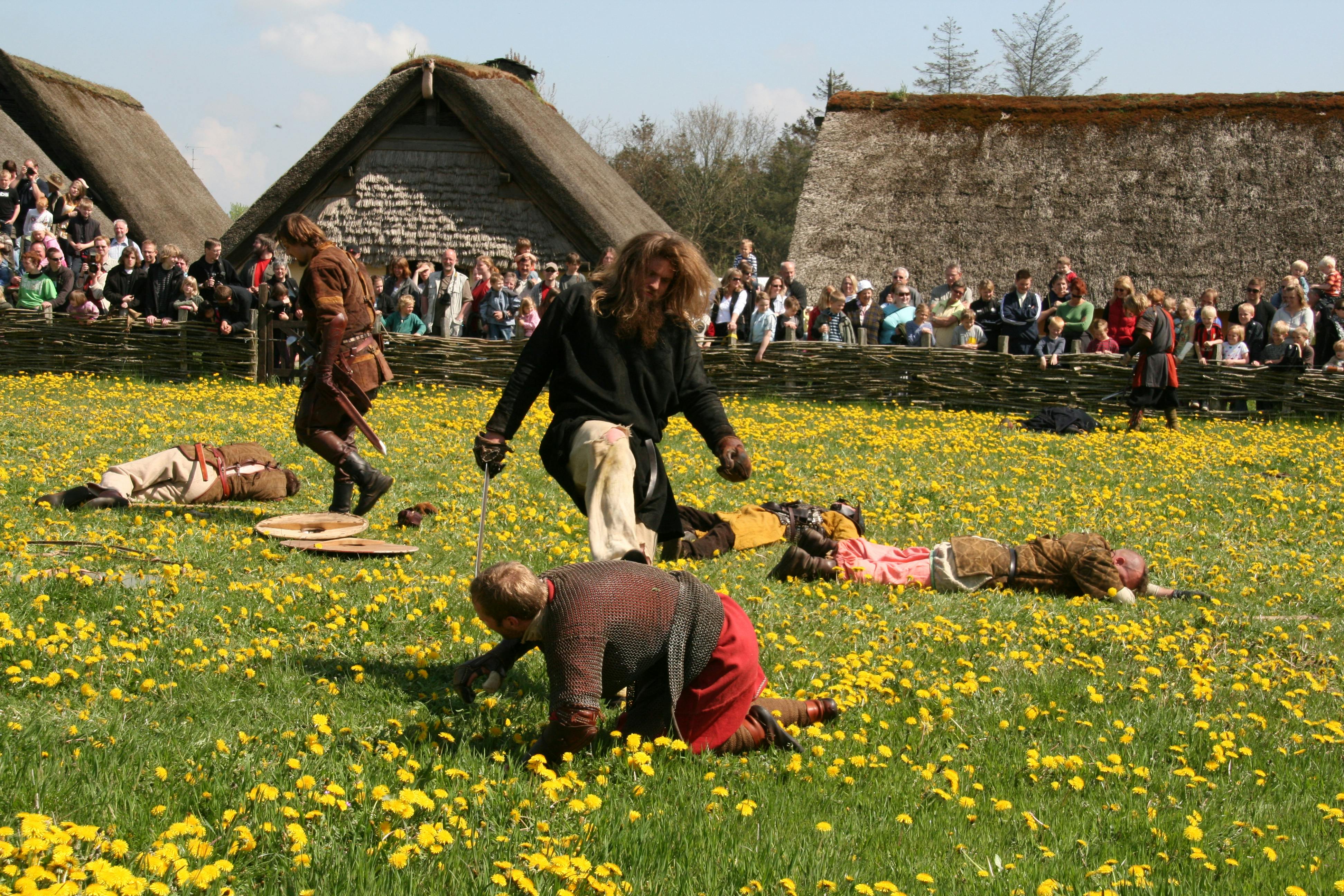 Free stock photo of vikings