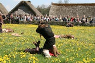 在充满活力的花田中，历史重演者进行了一场中世纪的战斗，吸引了众多观众
