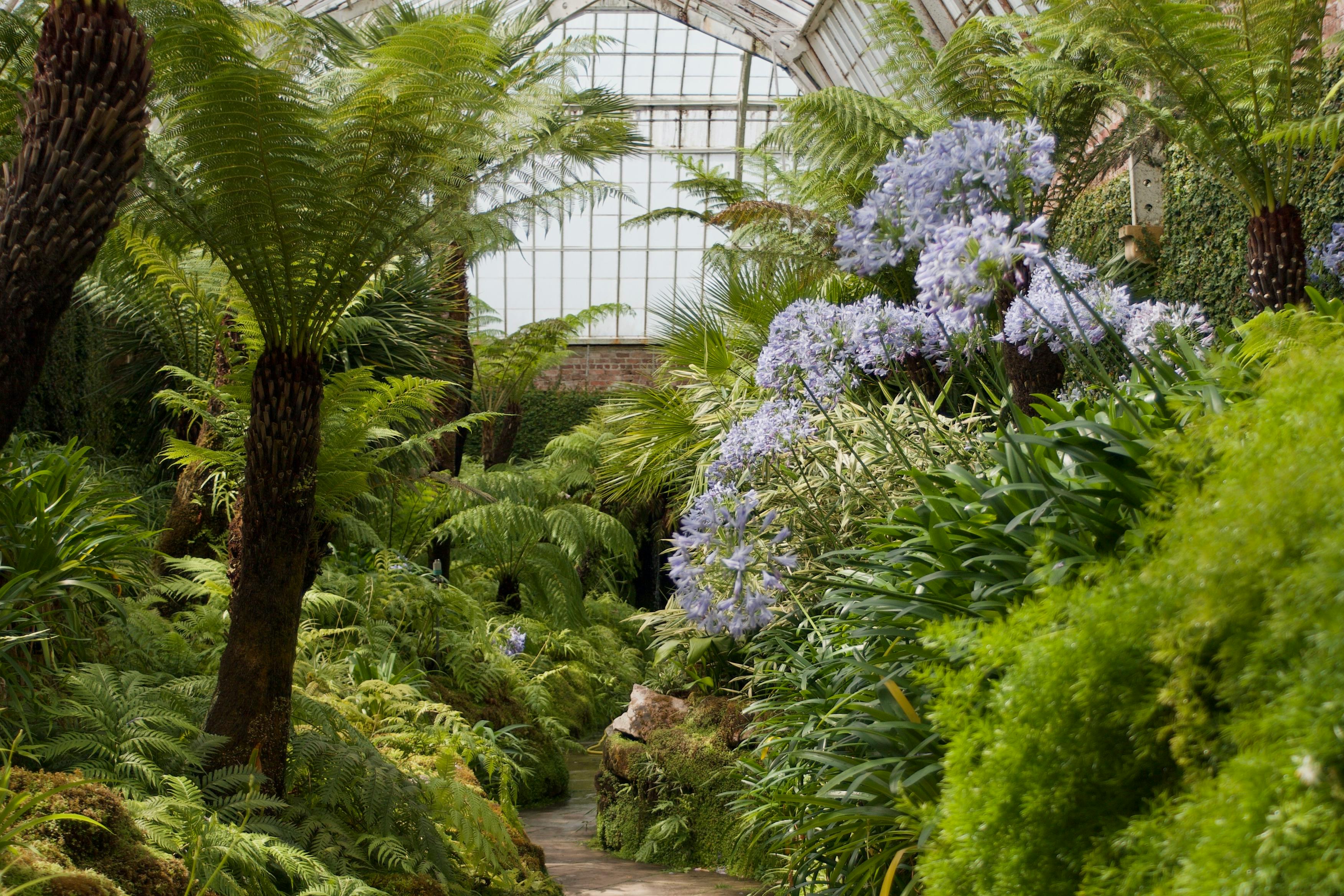 Smart technology integration in luxury botanical conservatory sanctuary